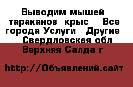 Выводим мышей ,тараканов, крыс. - Все города Услуги » Другие   . Свердловская обл.,Верхняя Салда г.